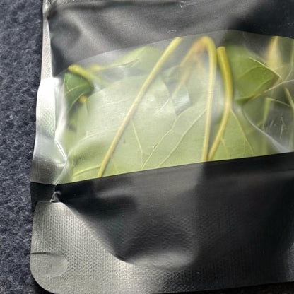 Pear Leaves